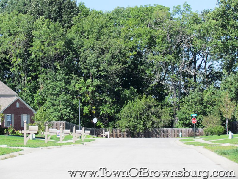 Fox Chase, Brownsburg, IN: Subdivision Roadway